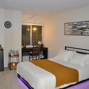  Homestay Private & Bathroom In Shared Oceanfront Home, Marina Del Rey